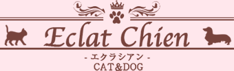 子犬・子猫の販売・ブリーダー｜千葉県香取市のECLAT CHIEN - エクラシアン -　CAT＆DOG